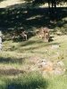 20200517_072318.jpg