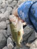 IMG_20200530_074224.jpg