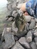 IMG_20200530_064223.jpg