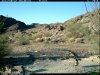 trail cam desert 3267.JPG