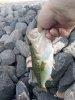 IMG_20200605_070120.jpg