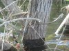 Lake Morena 6-8-12 019.JPG