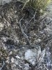 90026B6A-DD5B-4AFB-9EC7-B0E789E609CC.jpeg