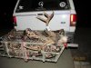 Bucks & Wister 10-31-12 079.JPG