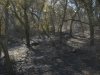 fire 2007 017.jpg