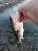 IMG_20200626_061337.jpg