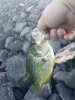 IMG_20200702_070107.jpg