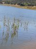 20200704_094739.jpg 20200704_094739.jpg