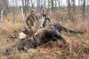 Jasonsbull_zpsabc60f55.jpg