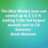 asshole gov.jpg