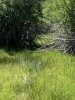 A487F81F-862B-4EBE-8B42-38DD2EA2743F.jpeg