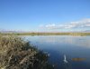 IMG_9833.JPG