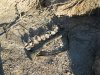 Desert quail 10-19-11 002.JPG