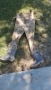 20200801_131450.jpg
