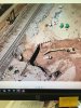 hwy 111 mud pot.JPG