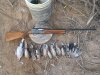 opening dove 2012 005.JPG