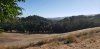 20200807_171938.jpg