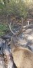 20200809_101156.jpg