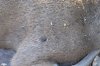 20200810_105215.jpg
