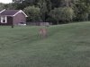9B93284E-5C4B-4903-B412-1D76D55C7C23.jpeg