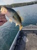 20200816_081308.jpg
