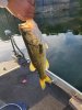 20200816_072058.jpg