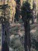 BE947590-FE0E-490C-A50A-E5FF85789FE2.jpeg