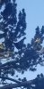 20200813_070659.jpg