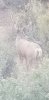 20200820_080258.jpg