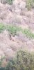 20200821_084907.jpg