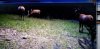 20200815_133614.jpg