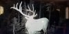 20200817_120256.jpg