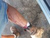 20180903_071851.jpg