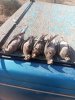 IMG_20200901_100201.jpg