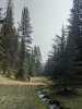 IMG_20200917_145817.jpg