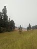 IMG_20200915_124038.jpg