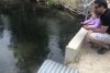 52923067-D707-4F17-B63E-F1B363E1FA94.jpeg