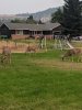 IMG_20200913_191043.jpg