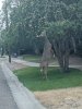 IMG_20200913_184829.jpg