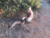 20171104_172651.jpg