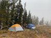 IMG_1151.JPG