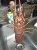 20201004_012722.jpg