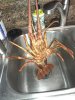 20201004_012733.jpg