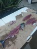 IMG_20201003_143817_01.jpg
