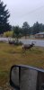 123_2(1).jpeg