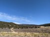 PXL_20201015_190731655.jpg