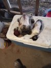 IMG_20201017_190558.jpg