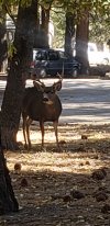 20201018_100725.jpg