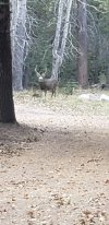 20201016_161844.jpg