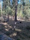 20201015_164337.jpg